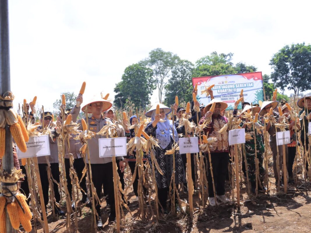 Dukung Kedaulatan Pangan, Panglima TNI Bantu Golongan Tani