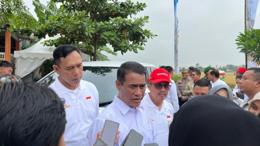 Harga Kelapa Naik hingga Rp6.000 per Butir