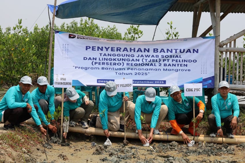 Benteng Pesisir dan Paru-Paru Biru