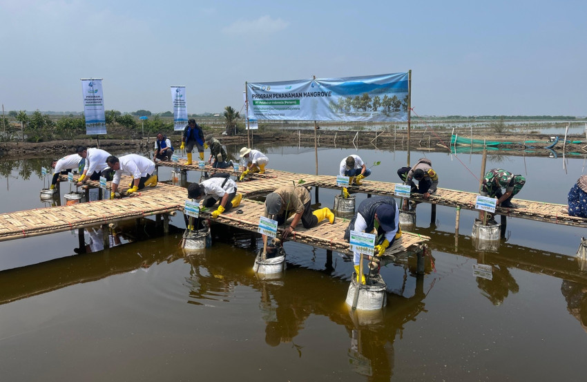 Penanaman 215.200 Flora Mangrove di 9 Lokasi Pesisir