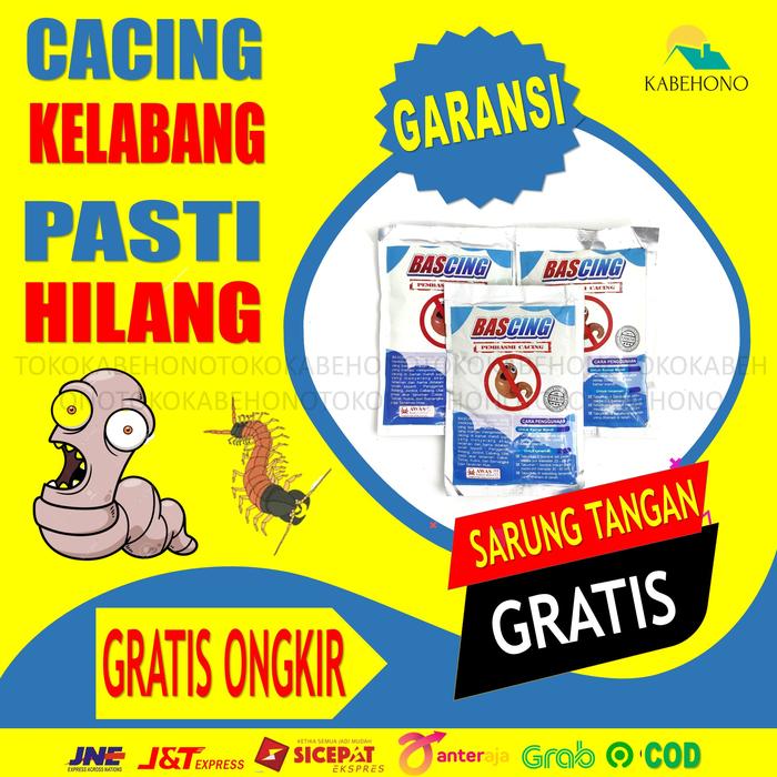 Rumah Diteror Cacing dan Kalajengking