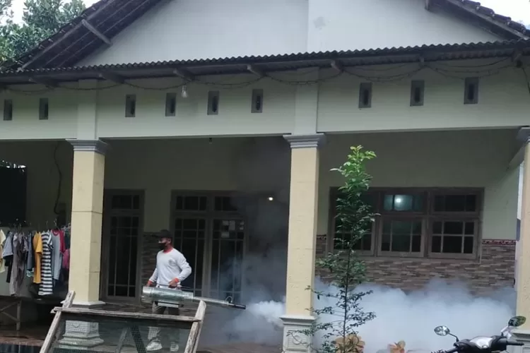 Data Kasus DBD Trenggalek 2024, Tertinggi Dipegang Kecamatan Gandusari