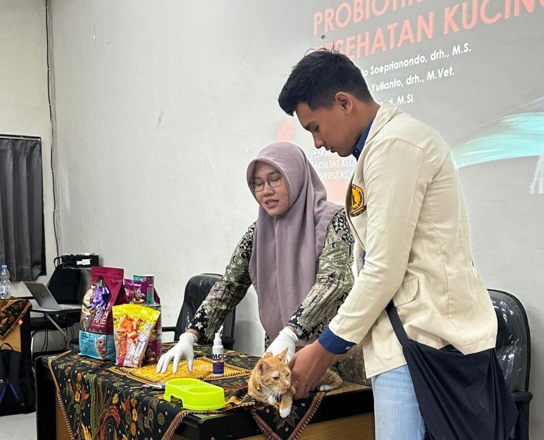 Ratusan Siswa di Sleman Diduga Keracunan MBG, Mayoritas Pusing-Diare