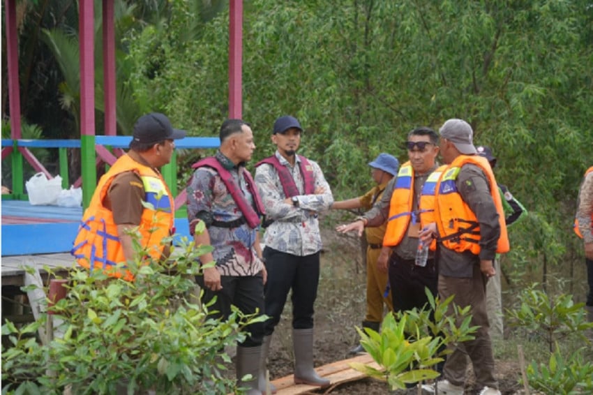 Ditjen Bina Adwil dan Setmilpres Pembuktian Program Jaring Mangrove