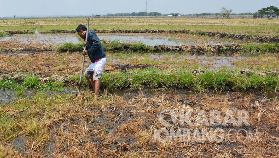Fenomena Tanah Bergerak