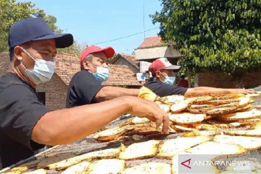 Petani Jawa Menang Judi Rp100 Miliar, Langsung Bantu Penduduk