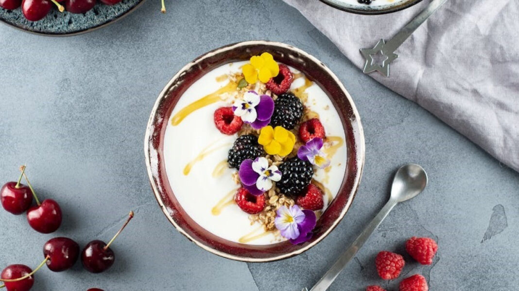 Chia Seed Pudding vs Yogurt: Mana yang Lebih Sehat untuk Sarapan?