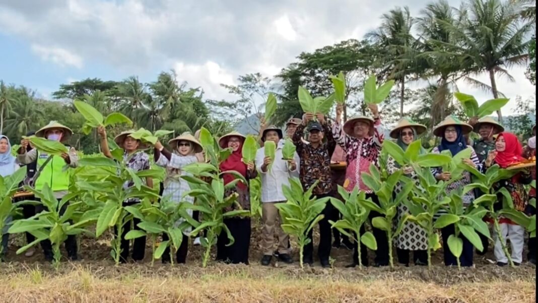 Diperta Kabupaten Probolinggo Gelar Posyandu Ternak, Perkuat Pencegahan PMK Jelang Musim Pancaroba
