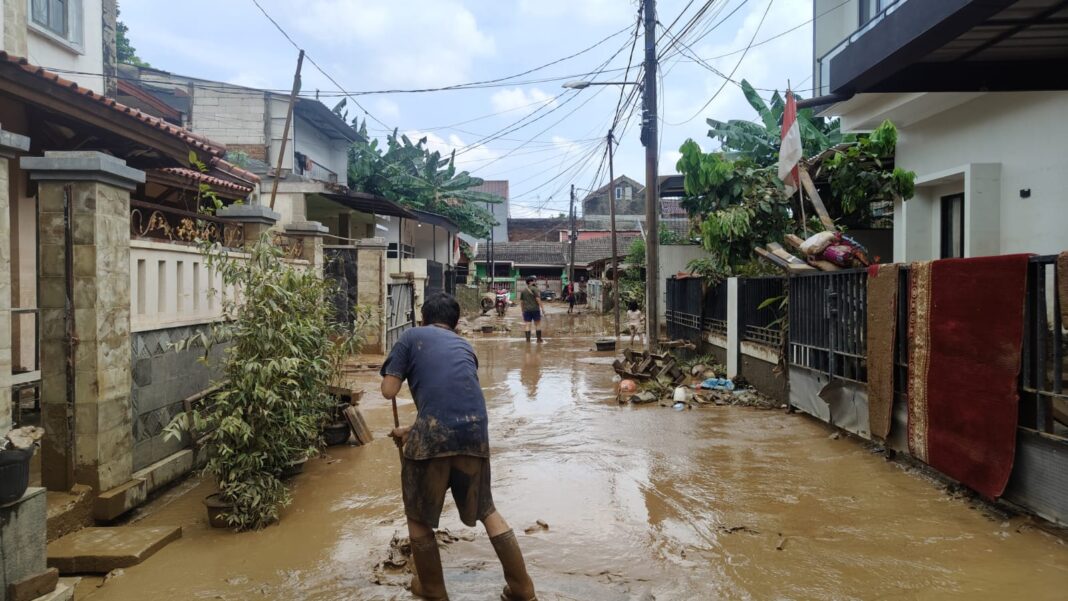 Banjir Surut, Ular Sanca Tiga Meter Ditemukan di Kemayoran