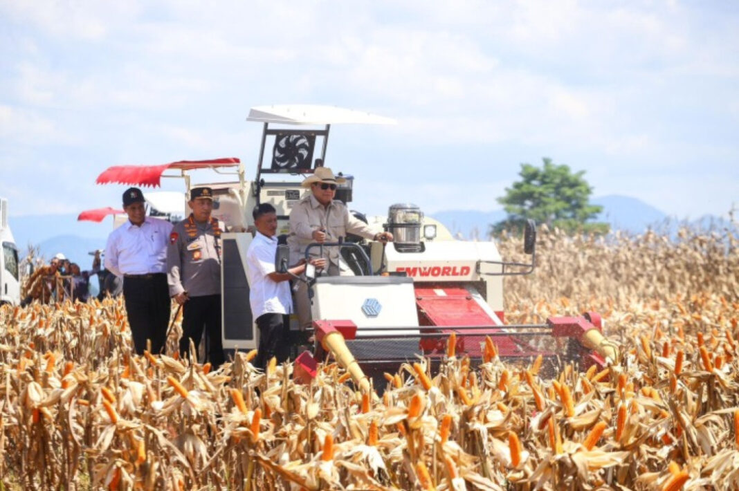 Indonesia Siap Ekspor Jagung di 2026