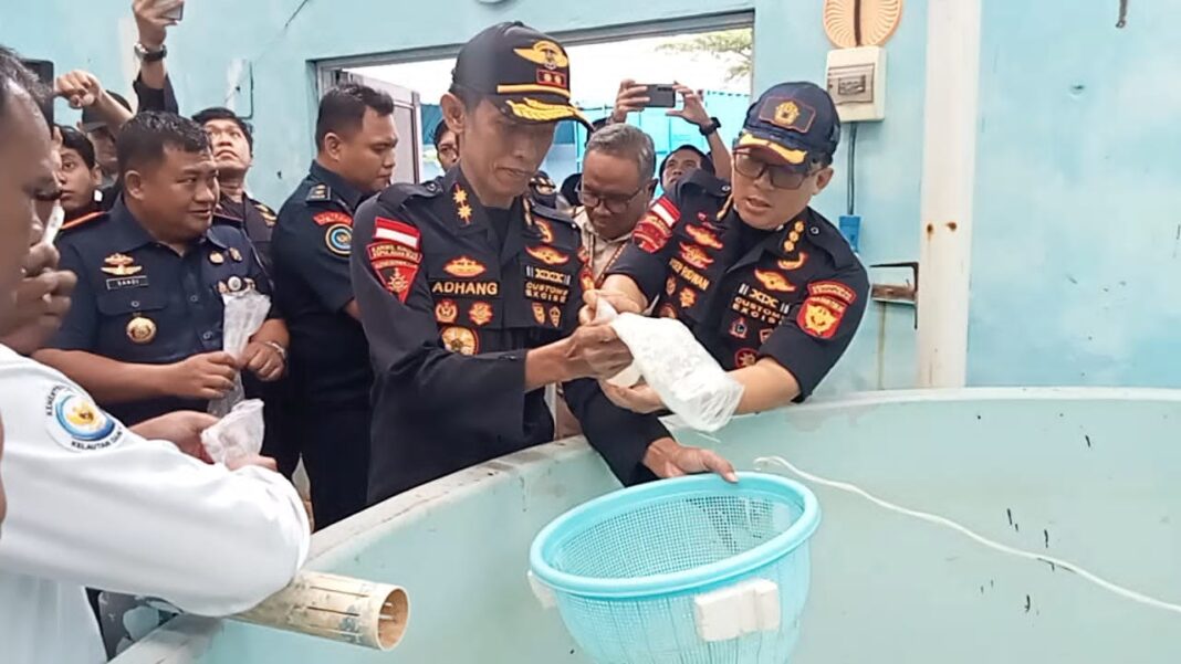 Lucas Cardoso Tiba Di Bandung, Calon Gelandang Baru Persib Seharga Rp5,9 Miliar