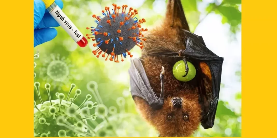 Apa Antisipasi Pemerintah Mencegah Penularan Virus Nipah