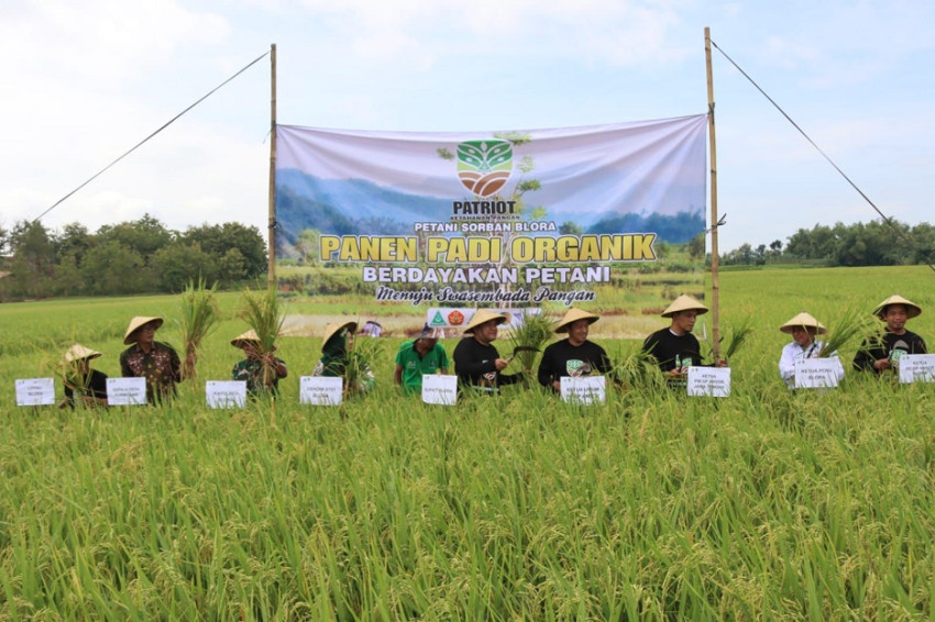 Panen Padi dan Tanam Pohon Kelapa di Blora
