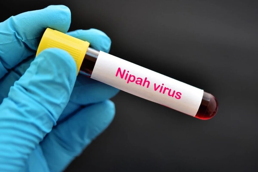 Waspadai Virus Nipah, Hindari Konsumsi Buah Secara Sembarangan!